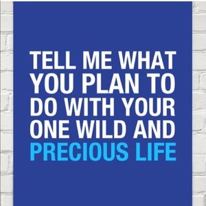 Tell me what you plan to do